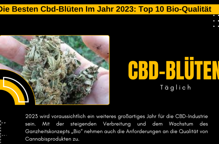 Die Besten Cbd-Blüten Im Jahr 2023: Top 10 Bio-Qualität